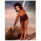 Annette Funicello Vintage Photo Print Swim Suit with Paddle 1959 to 1965